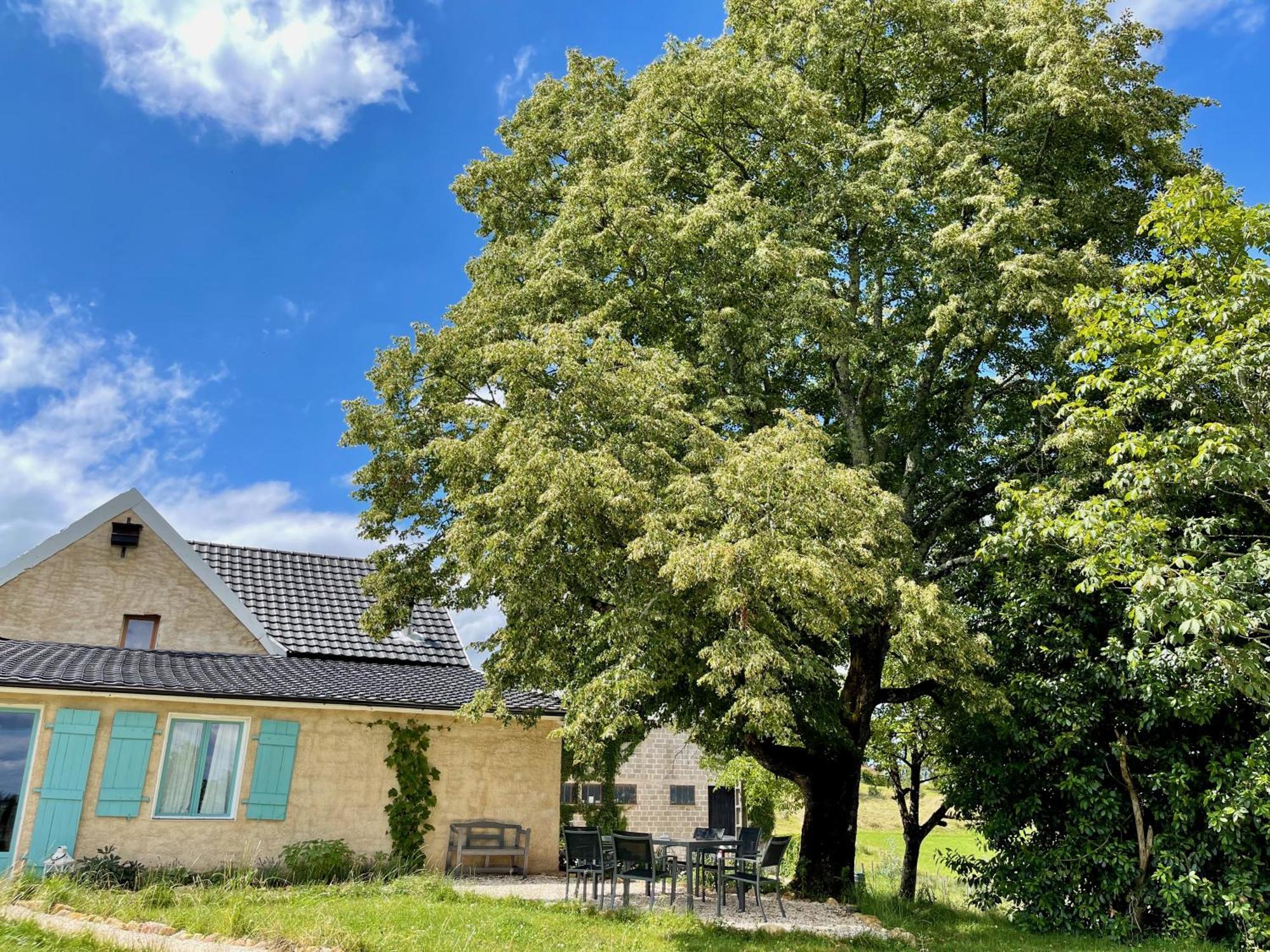La Belle Petite Ferme Rosiers De Julliac 19350 Villa Le Bos Kültér fotó