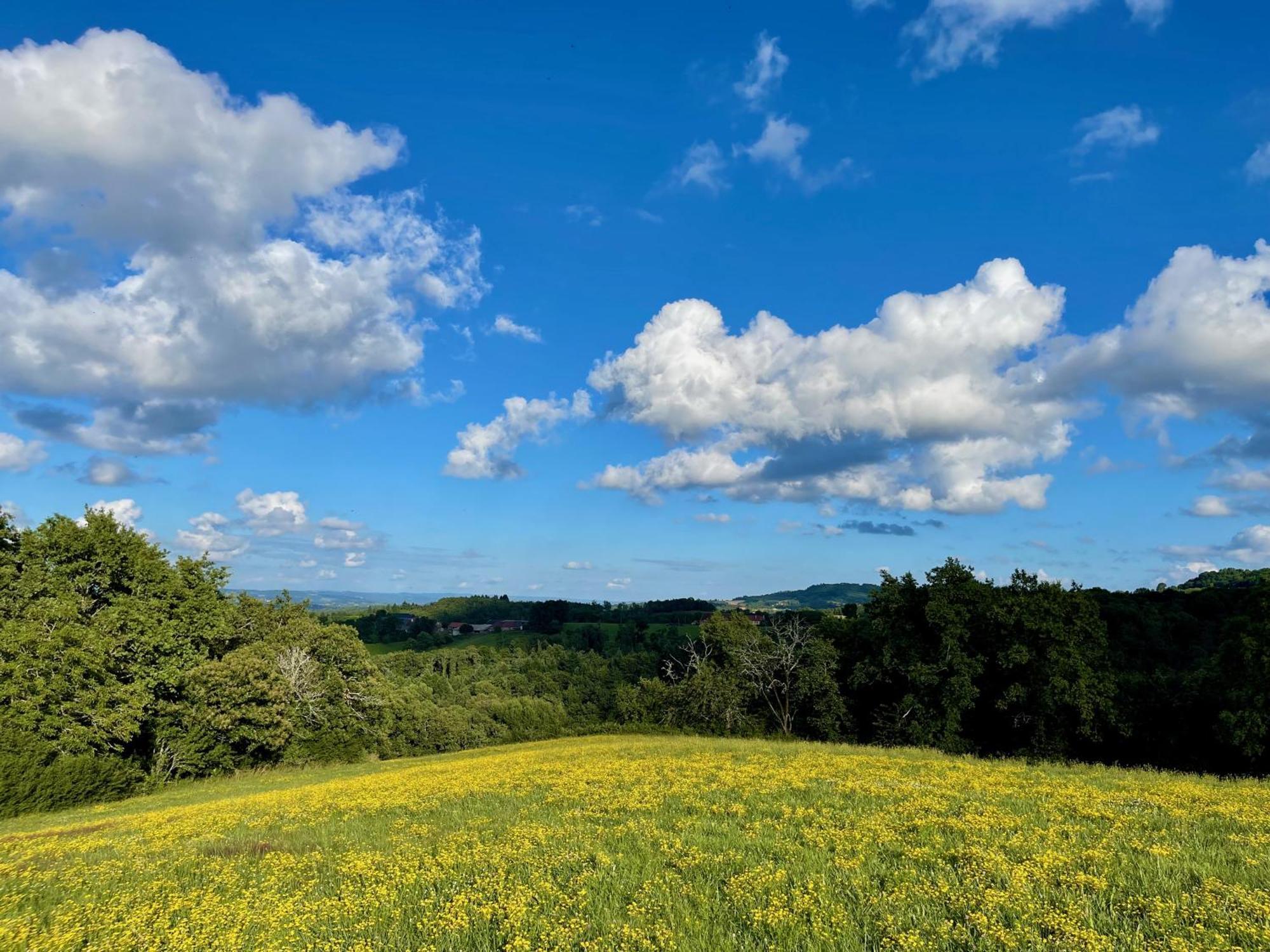 La Belle Petite Ferme Rosiers De Julliac 19350 Villa Le Bos Kültér fotó