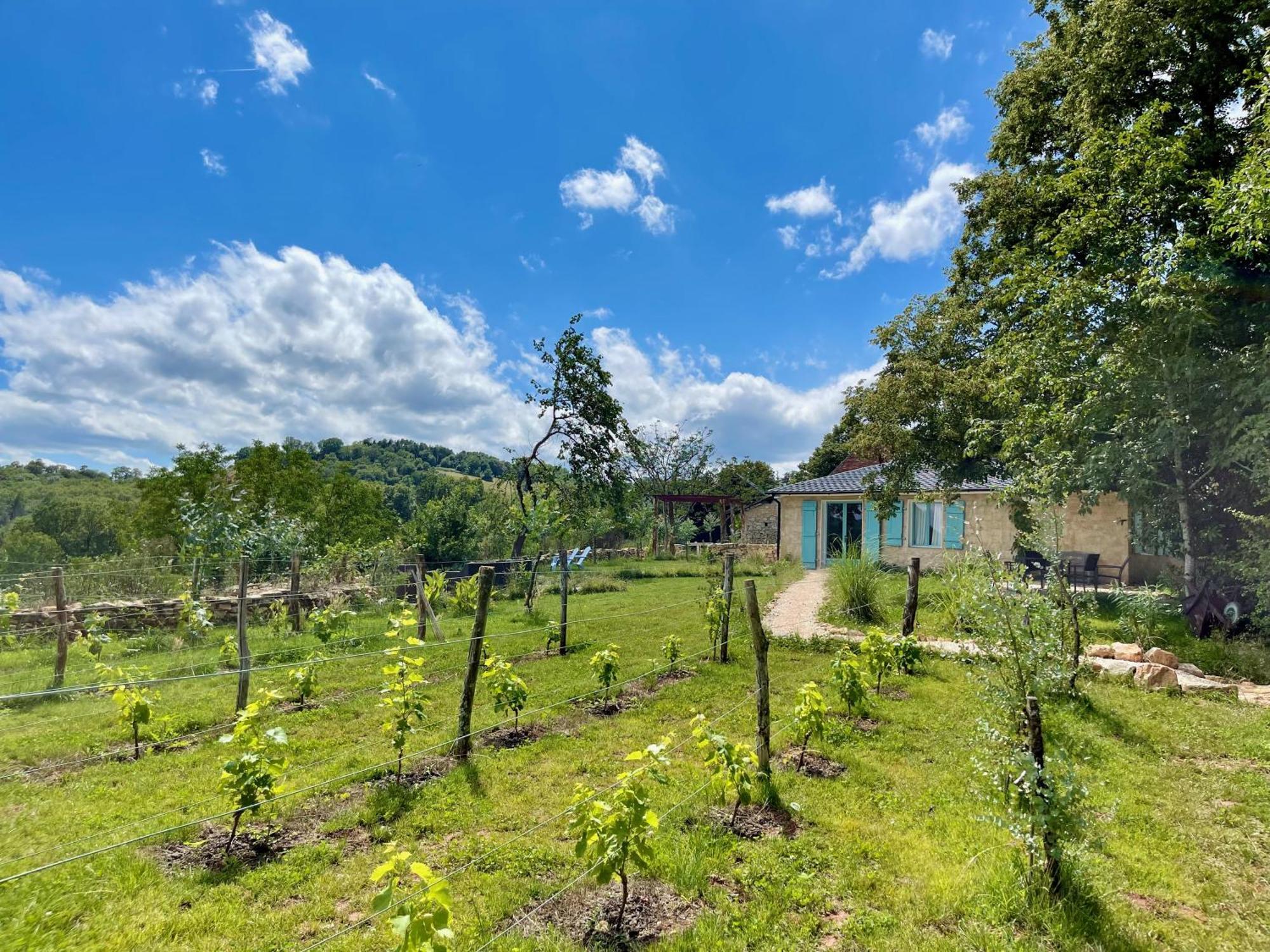 La Belle Petite Ferme Rosiers De Julliac 19350 Villa Le Bos Kültér fotó