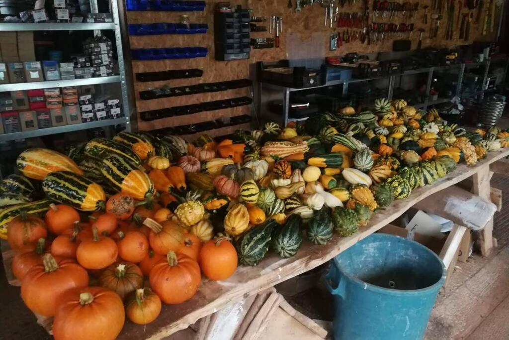 La Belle Petite Ferme Rosiers De Julliac 19350 Villa Le Bos Kültér fotó